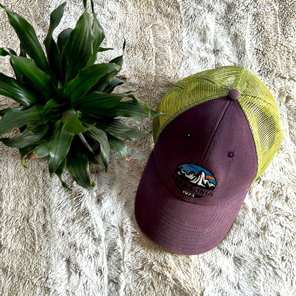 Patagonia Trucker Hat - Purple + Green